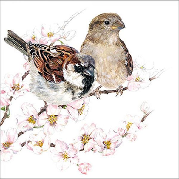 sparrows-blossom.jpg