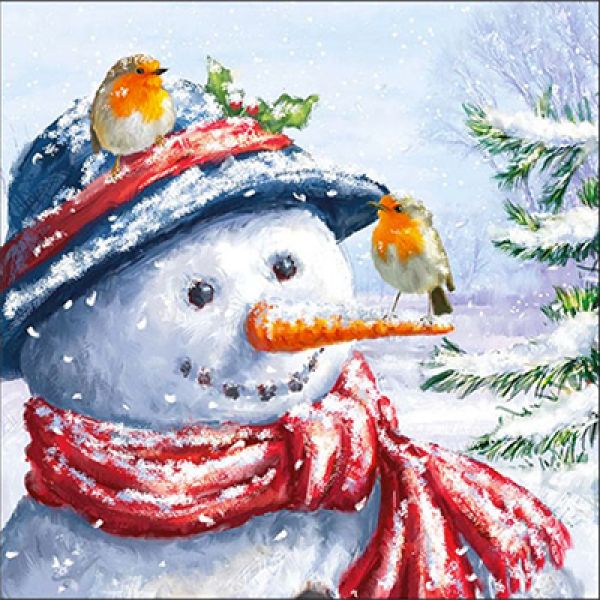 20-servetten-sneeuwpop.jpg